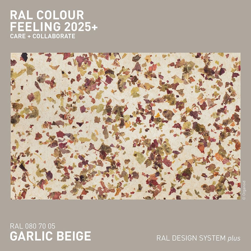 RAL 080 70 05 大蒜米黃